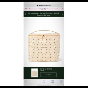 Kate Spade Lunch Tote